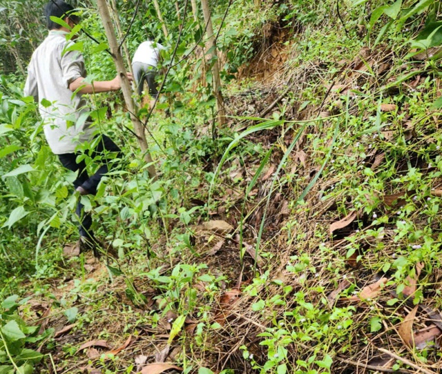 Sạt lở núi đe dọa trường mầm non và nhiều nhà dân ở Quảng Ngãi- Ảnh 2.