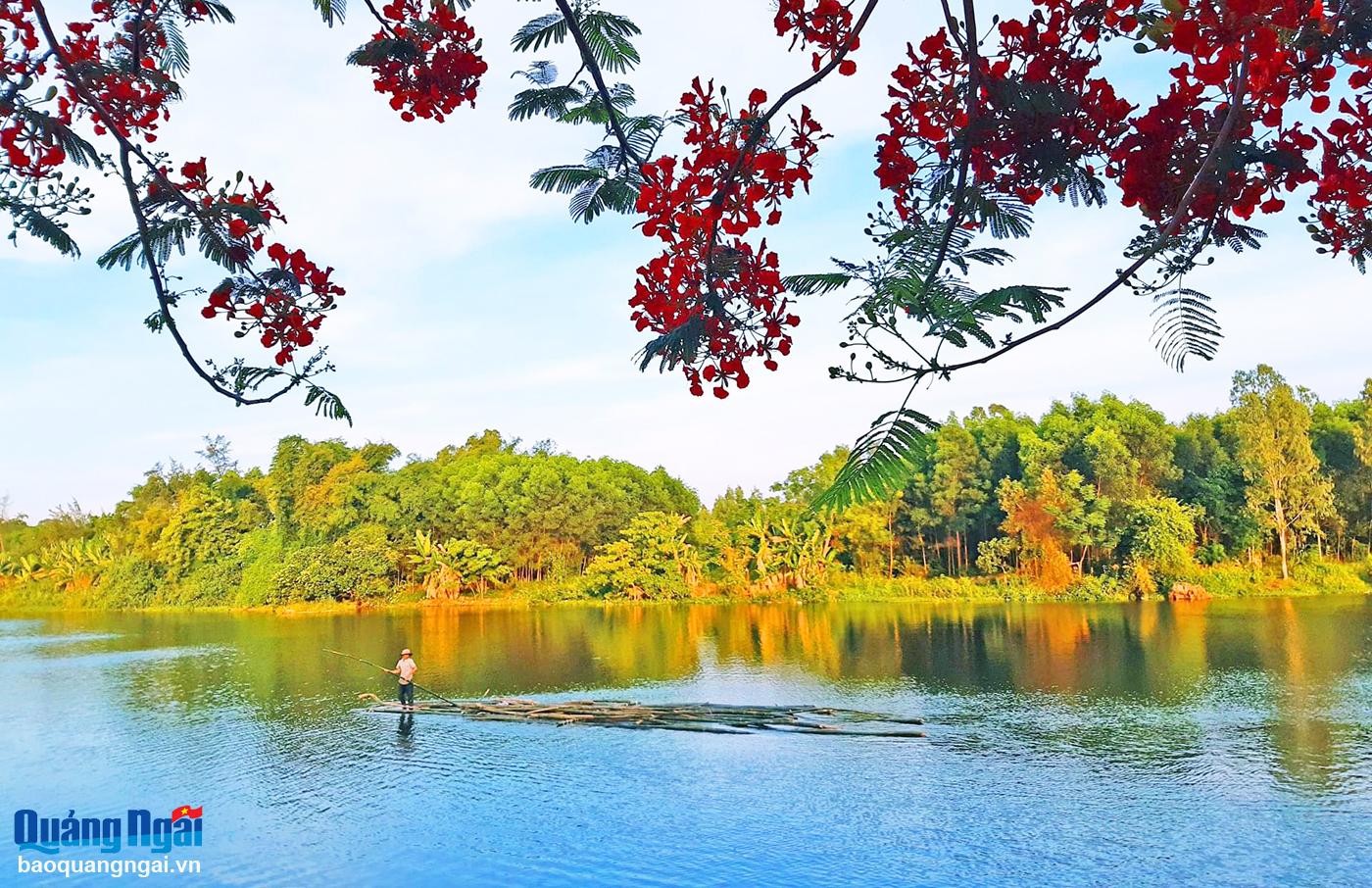 Khung cảnh bình yên của dòng sông Trà Bồng đoạn chảy qua xã nông thôn mới nâng cao Bình Dương (Bình Sơn).