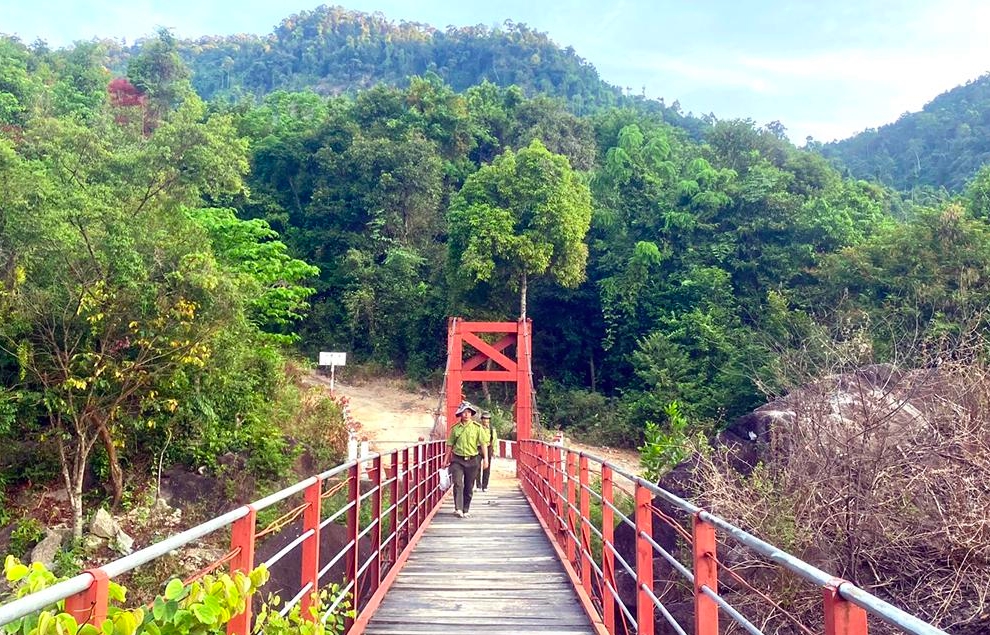 Rừng ở nóc Ông Đến còn khá nguyên vẹn