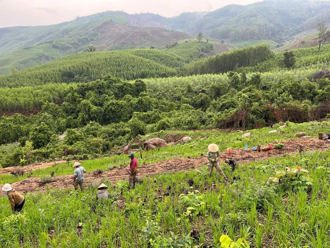 Vẫn còn nhiều hộ đồng bào DTTS ở Bình Định thiếu đất sản xuất nên chưa thể thoát nghèo bền vững