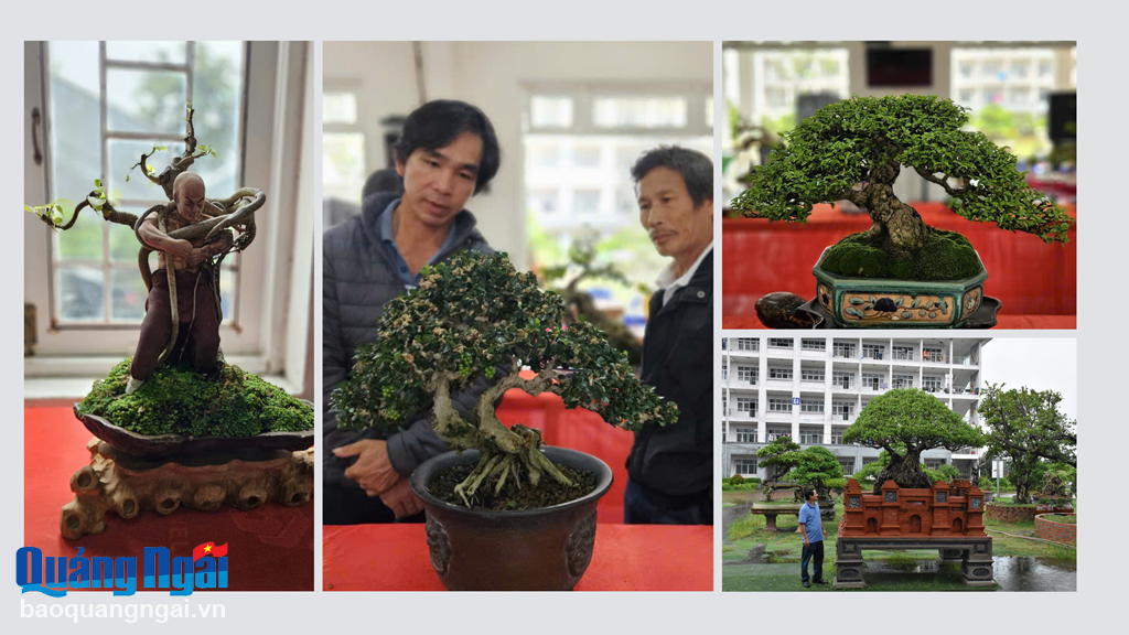 Những tác phẩm Bonsai với tạo hình độc đáo tại chương trình.