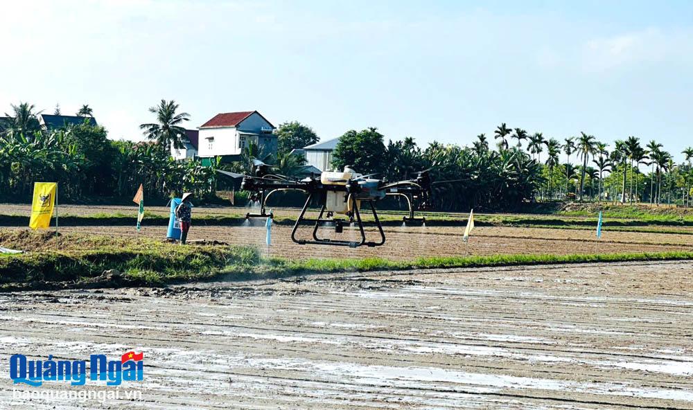 Đầu tư công nghệ vào sản xuất nhằm nâng cao hiệu quả, giá trị sản phẩm và bảo vệ môi trường. 
Trong ảnh: Trình diễn mô hình phun thuốc bằng thiết bị không người lái tại cánh đồng xã Đức Tân (Mộ Đức).  			                  Ảnh: T.P