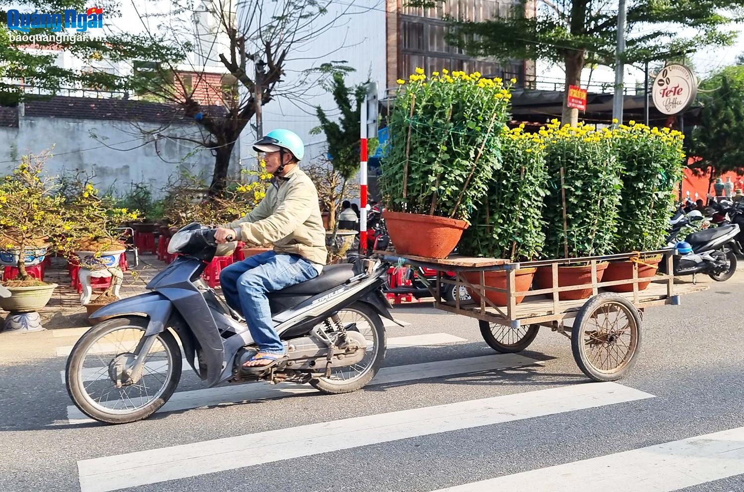 Nhiều tiểu thương hy vọng trong 3 ngày tới, sức mua hoa, cây cảnh sẽ tăng cao.