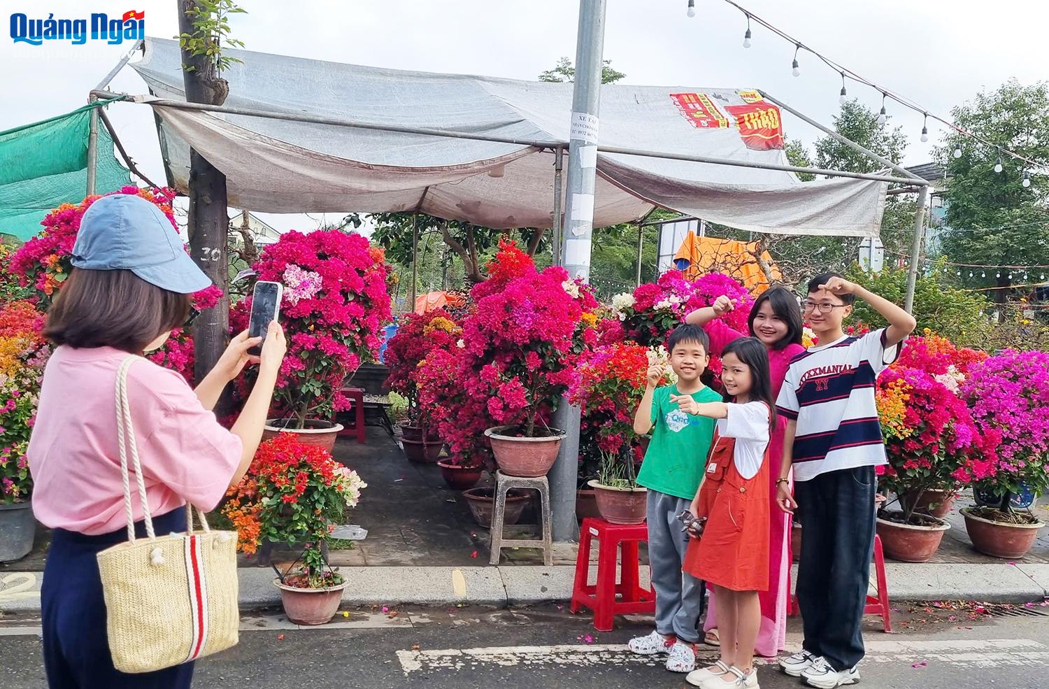 Chợ hoa xuân ngoài trưng bày một lượng lớn mai, quất, cúc, còn có cả nhiều chậu hoa giấy rất bắt mắt.