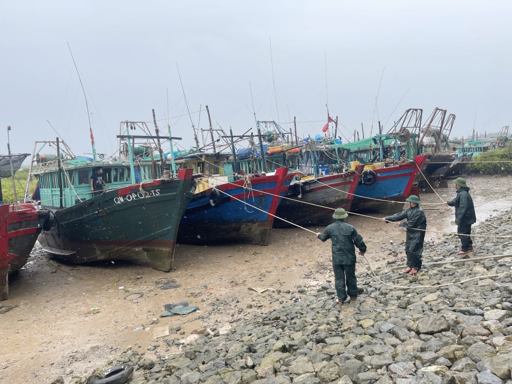 Cán bộ, chiến sỹ Đồn Biên phòng Trà Cổ giúp dân chằng buộc tàu thuyền đảm bảo an toàn trước mưa bão.