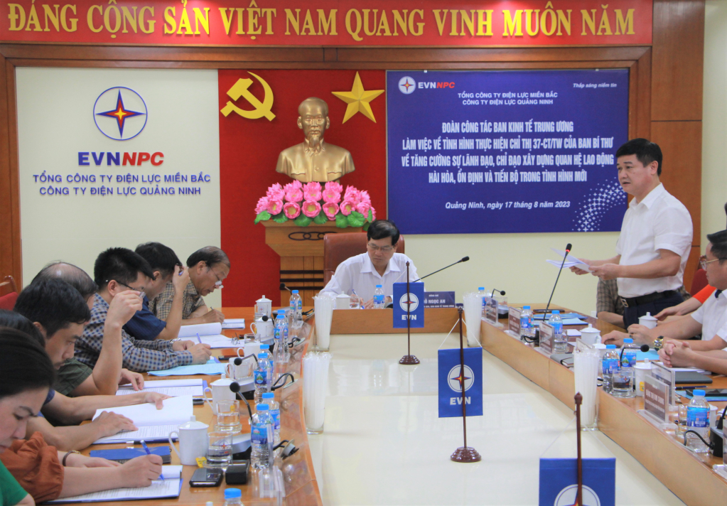 Lãnh đạo Công ty Điện lực Quảng Ninh phát biểu tại buổi làm việc