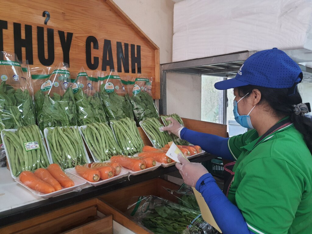 Rau thuỷ canh của cơ sở Green farm 188 Mạo Khê Đông Triều sau khi được xác nhận chuỗi đã nâng cao hình ảnh, thương hiệu trên thị trường.