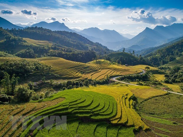 Thu tuong ky quyet dinh Thanh lap hai Hoi dong Dieu phoi Vung hinh anh 2