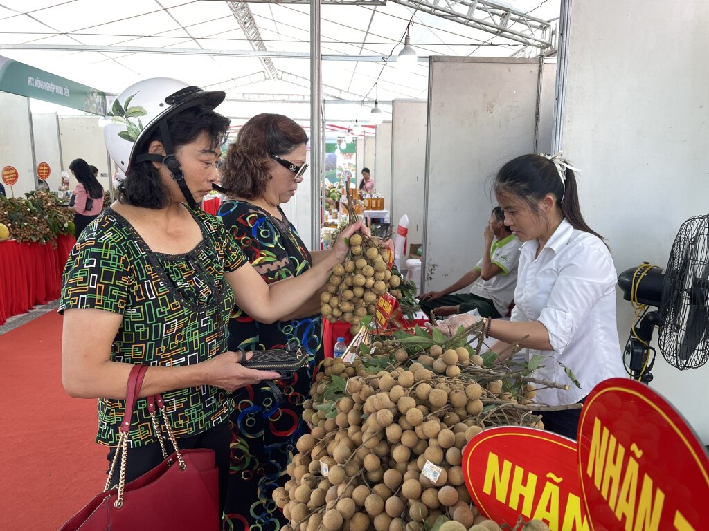 Người dân mua sản phẩm nhãn lồng Hưng Yên.