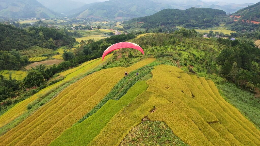 Trải nghiệm dù lượn bay trên mùa vàng Bình Liêu.