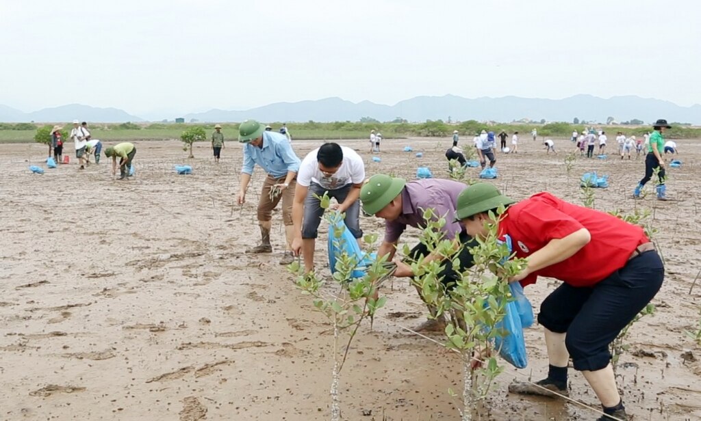 Hội CTĐ tỉnh cùng đại diện các sở, ngành, chính quyền địa phương và nhân dân tham gia trồng rừng ngập mặn tại xã Đồng Rui (huyện Tiên Yên). Ảnh: Dương Trường