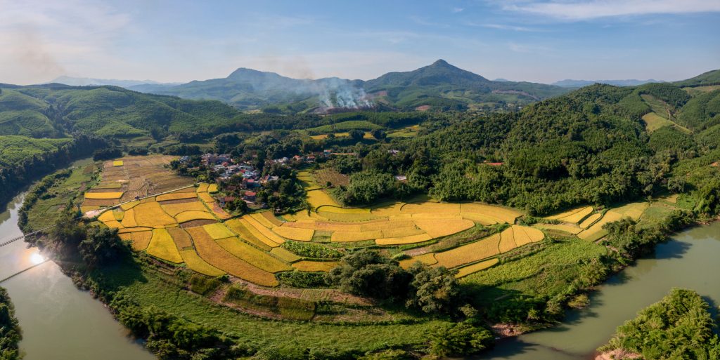 Mùa vàng trên bản làng Ba Chẽ.