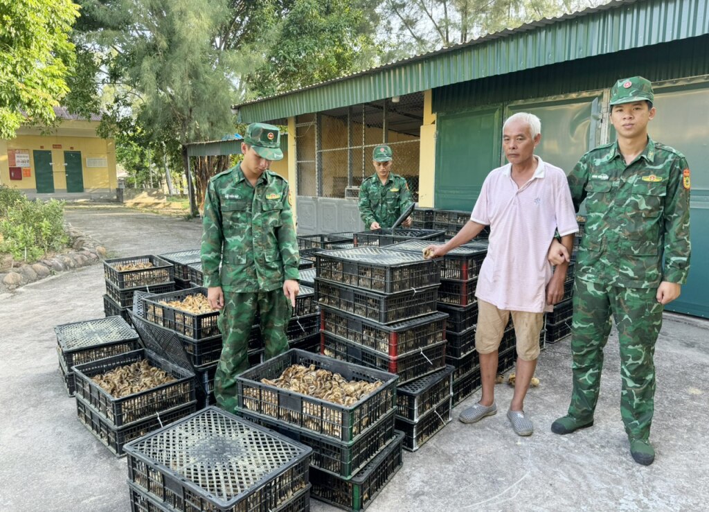 Đối tượng Nguyễn Thành Quý và số gà giống