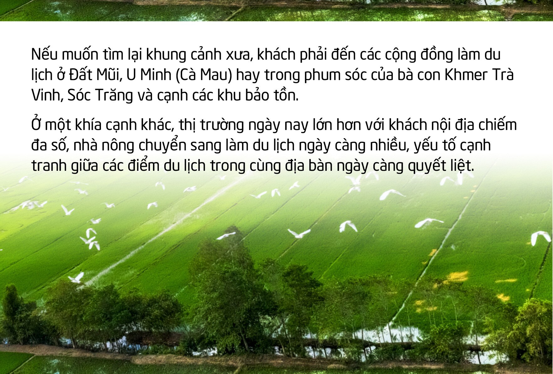 Du lịch cộng đồng miền Tây: Về nghe tiếng ếch kêu... - Ảnh 8.