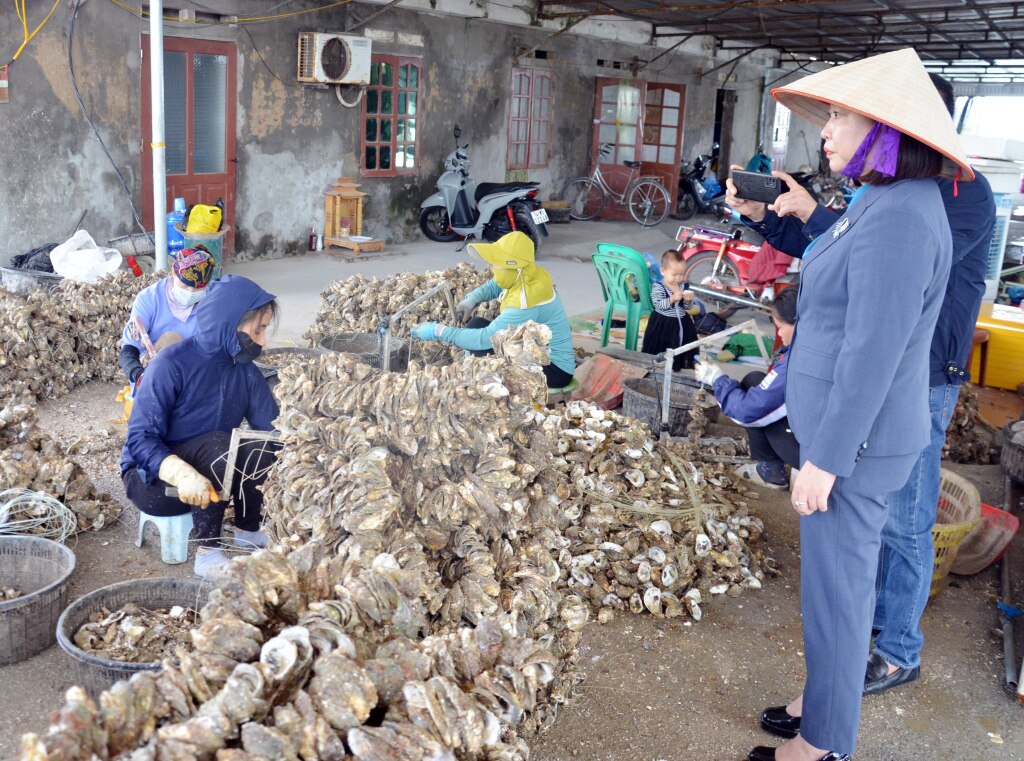 Bí thư Đảng ủy xã Đầm Hà kiểm tra thực tế, tìm cách tháo gỡ vướng mắc trong sản xuất hàu tại HTX Thương mại hàu Gia Hưng (thôn Đầm Buôn, xã Đầm Hà, huyện Đầm Hà).