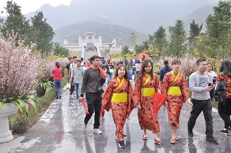 Du khách thưởng ngoạn Lễ hội Hoa Mai vàng Yên Tử - Anh đào Nhật Bản năm 2019.