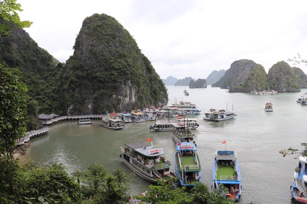 Tàu đưa khách tham quan các hang động trên Vịnh Hạ Long. 