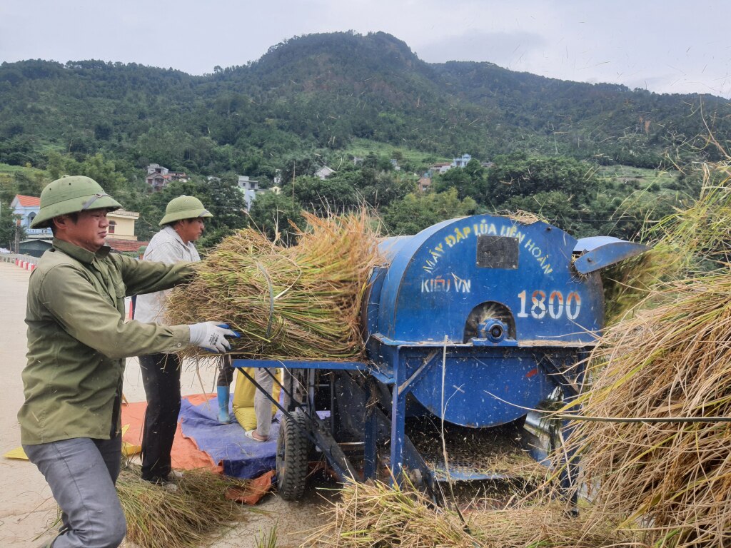 Nông dân xã Húc Đông, huyện Bình Liêu phấn khởi sản xuất, cải thiện đời sống.