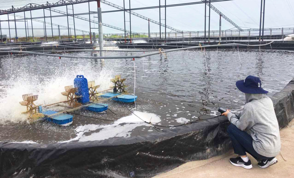 Cán bộ Trung tâm quan trắc kiểm tra yếu tố môi trường nước ao nuôi tôm tại khu vực TP Móng Cái