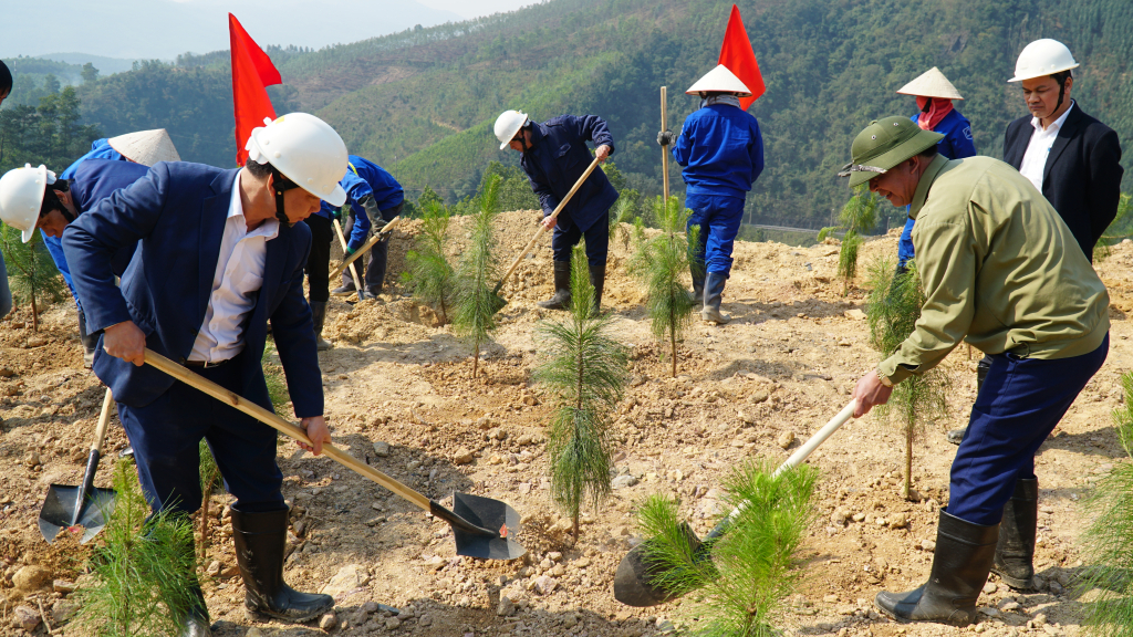 Trồng cây hoàn nguyên môi trường tại Công ty CP Than Vàng Danh. Ảnh: Hoàng Yến