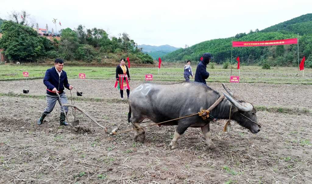 Nghi thức tịch điền tại lễ hội xuống đồng.