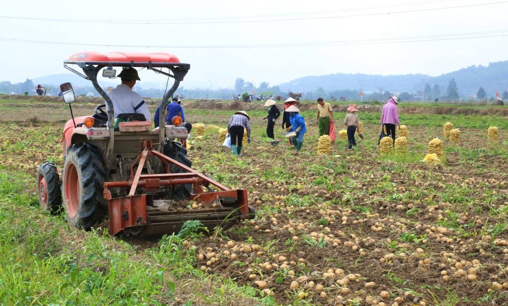 Nông dân, xã Bình Dương, TX Đông Triều