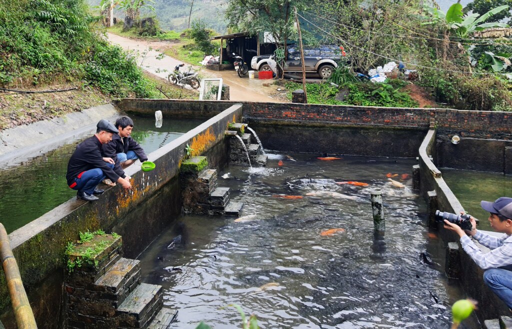 Người dân thôn Khe Tiền xã Đồng Văn phát triển mô hình nuôi cá nước lạnh.