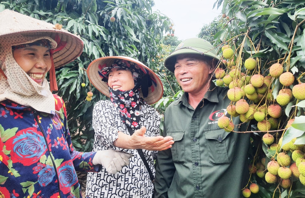 Người dân Phương Nam là những người có kinh nghiệm canh tác, trồng và chăm sóc cây vải chín sớm Phương Nam.