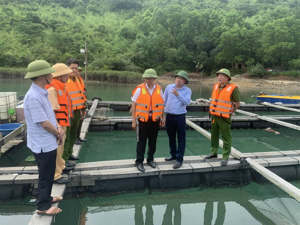 Đoàn liên ngành của tỉnh kiểm tra công tác NTTS tại Đầm Hà