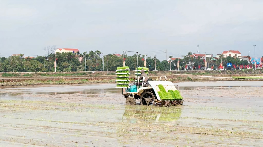 Nông dân TX Đông Triều áp dụng cơ giới hóa vào gieo cấy lúa.