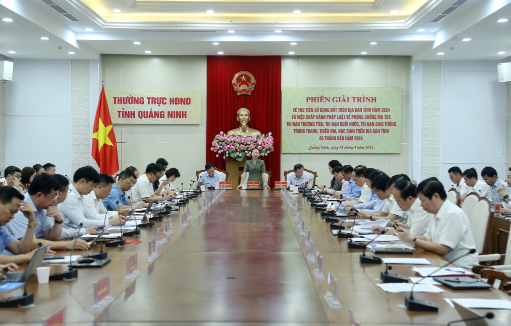 Quang cảnh phiên giải trình.