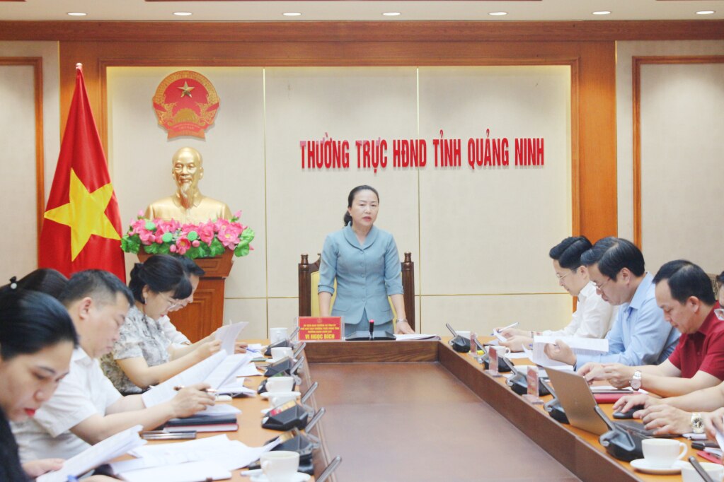 Đồng chí Vi Ngọc Bích, Phó Chủ tịch Thường trực HĐND tỉnh, Trưởng đoàn giám sát phát biểu   tại buổi giám sát