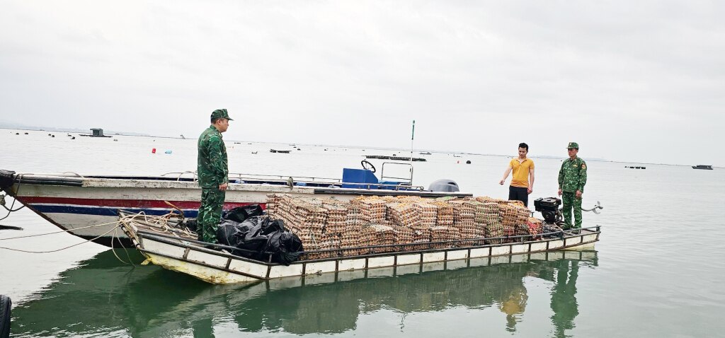 Đối tượng cùng phương tiện vận chuyển 29.400 quả trứng gà nhập lậu bị Đồn BP Trà Cổ bắt giữ.