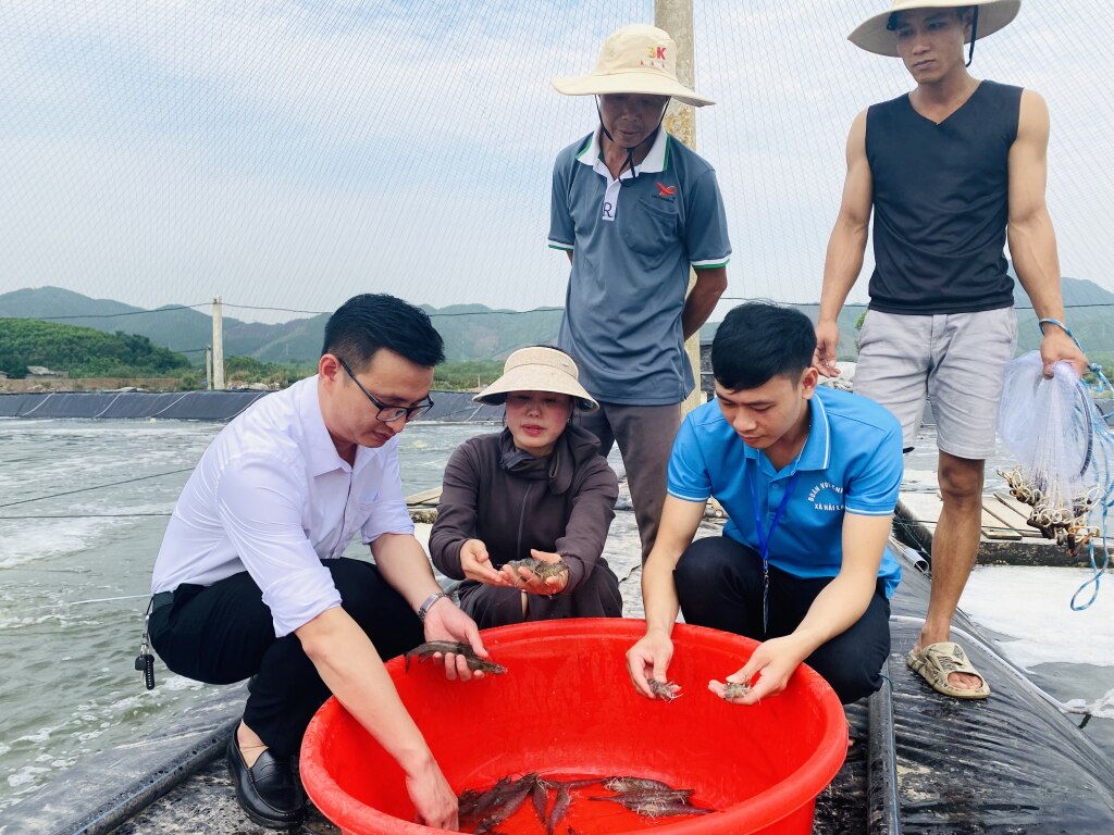 Tôm thẻ chân trắng của hộ chị Trần Thị Dung, thôn Thống Nhất, xã Hải Lạng phát triển tốt.