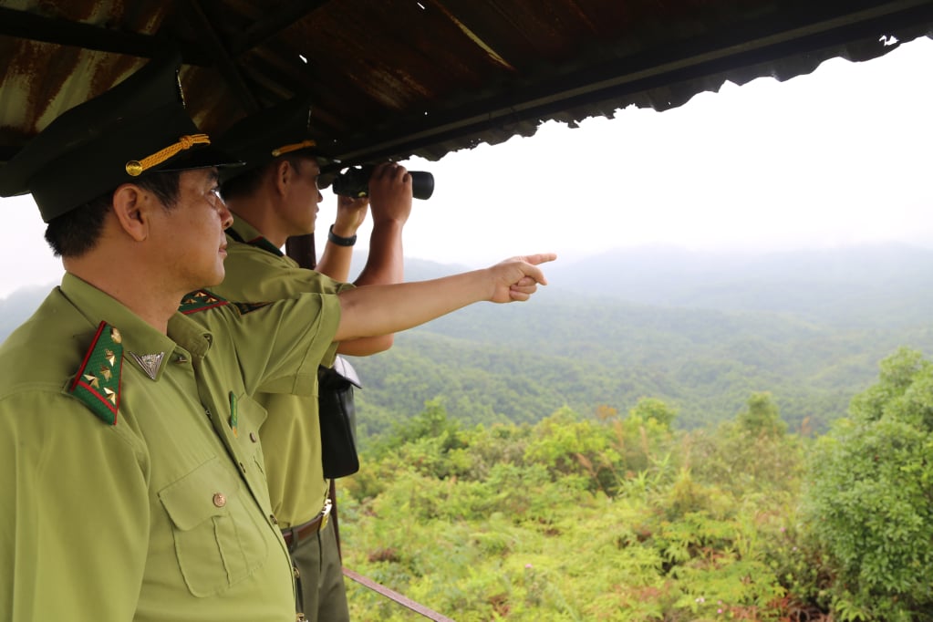 Cán bộ Hạt Kiểm lâm Móng Cái quan sát, kiểm tra rừng trên chòi gác rừng khu vực Bắc Sơn-Hải Sơn (Móng Cái)