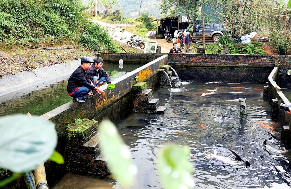 Người dân thôn Khe Tiền, xã Đồng Văn nuôi cá nước lạnh.