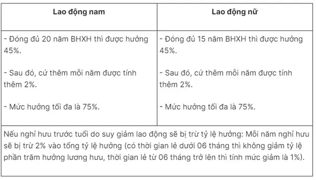 Thông tin cập nhật về điều chỉnh lương hưu từ 1/7/2024 - Ảnh 1.