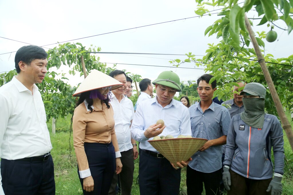 Đồng chí Nguyễn Xuân Ký, Ủy viên Trung ương Đảng, Bí thư Tỉnh ủy, Chủ tịch HĐND tỉnh thăm mô hình trồng cây chanh leo theo hướng hữu cơ tại HTX Nông nghiệp tổng hợp Trường Giang, thôn Trại Dinh, xã Đầm Hà, huyện Đầm Hà.