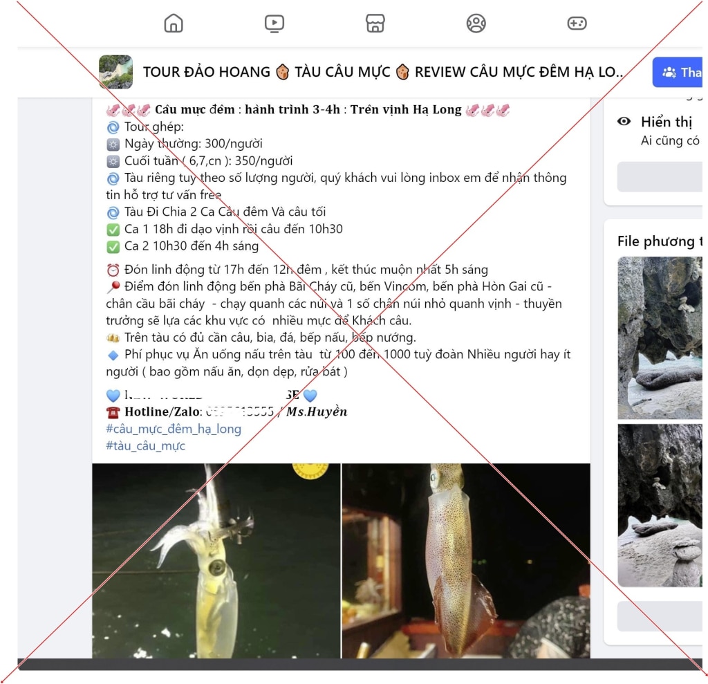 Dù không được cơ quan chức năng cấp phép, nhưng trên facebook vẫn xuất hiện nhiều quảng cáo về tour câu mực đêm trên Vịnh Hạ Long.