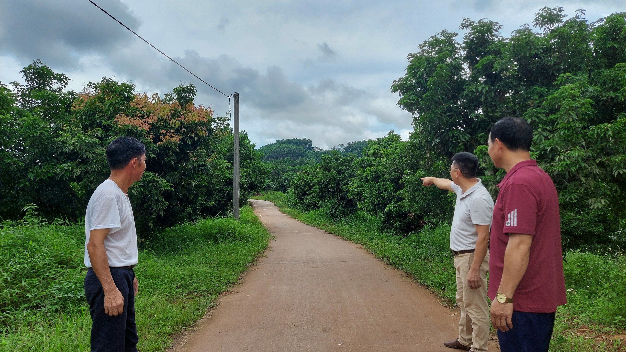 Lắng nghe nguyện vọng của nhân dân, tuyến đường mòn vào đội 1, thôn Phủ Liễn (Đồng Sơn) được đầu tư xây dựng kiên cố hóa, trong đó các hộ dân đều đồng thuận hiến đất làm đường.