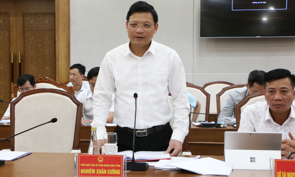 Provincial People's Committee works with Government Inspectorate Working Group