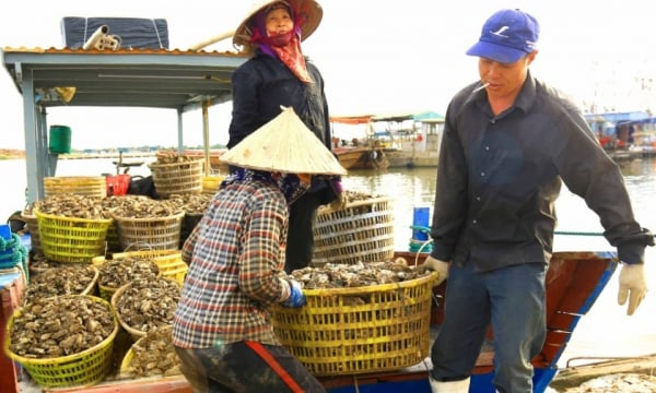 Quang Yen : Développement durable de l'économie maritime