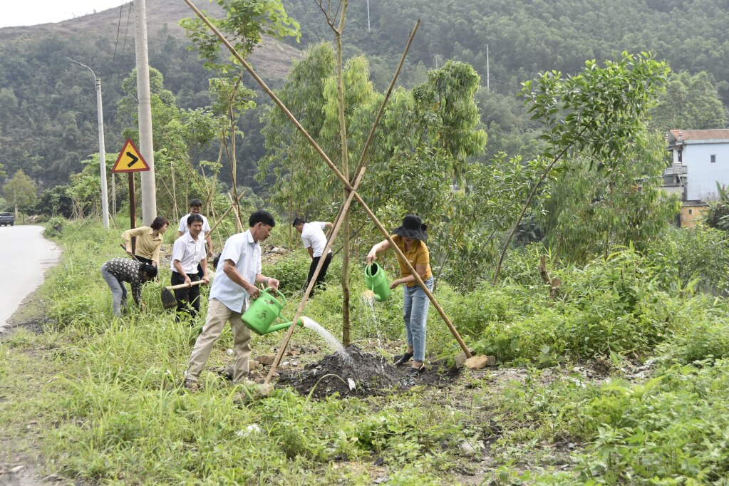 Vang Danh Ward, Uong Bi City, launched a campaign to plant Bauhinia trees on the road with signs welcoming the congresses of the Fatherland Front at all levels.