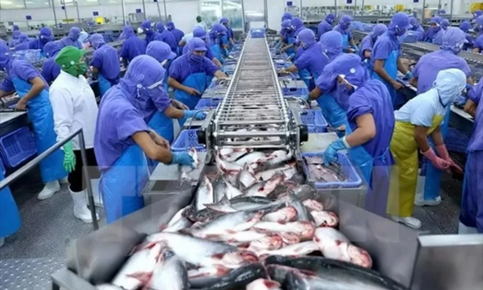 ការ​នាំ​ចេញ Pangasius ទៅ​កាន់​ទីផ្សារ UAE កើន​ឡើង​យ៉ាង​ខ្លាំង