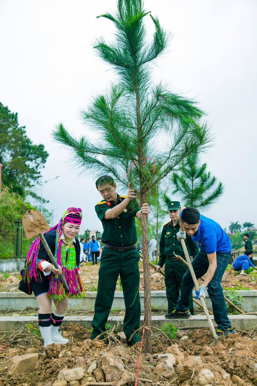 Hoạt động cộng đồng trồng thông mã vỹ bên sông gợi nhớ ý nghĩa tên Hà Cối: Rừng thông bên sông.