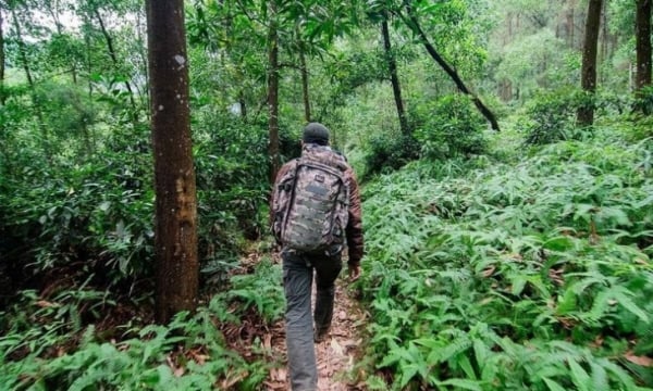 Kinh nghiệm cắm trại và trekking núi Hàm Lợn