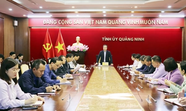 Quang Ninh Propaganda Department: Deserving to "lead the way" in the Party's ideological work