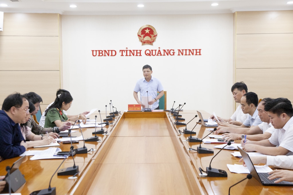 Đồng chí Nghiêm Xuân Cường, Phó Chủ tịch UBND tỉnh chủ trì cuộc họp