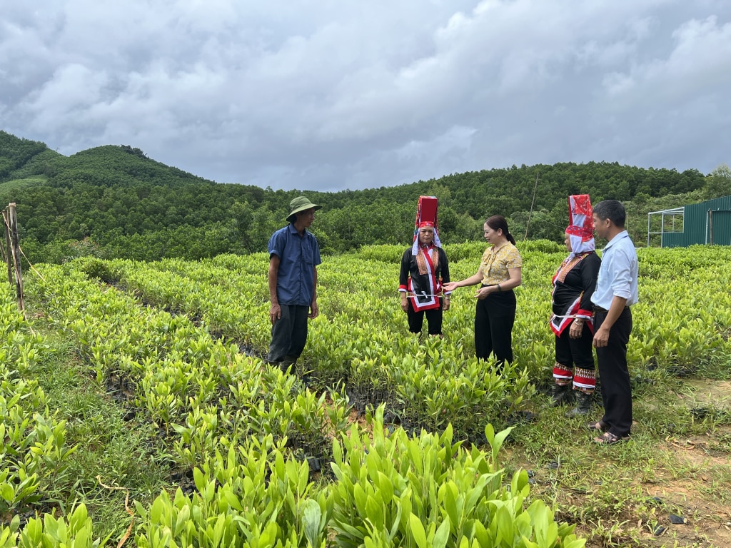 Cán bộ xã Yên Than tuyên truyền vận động bà con đồng bào chuyển dịch cây trồng.