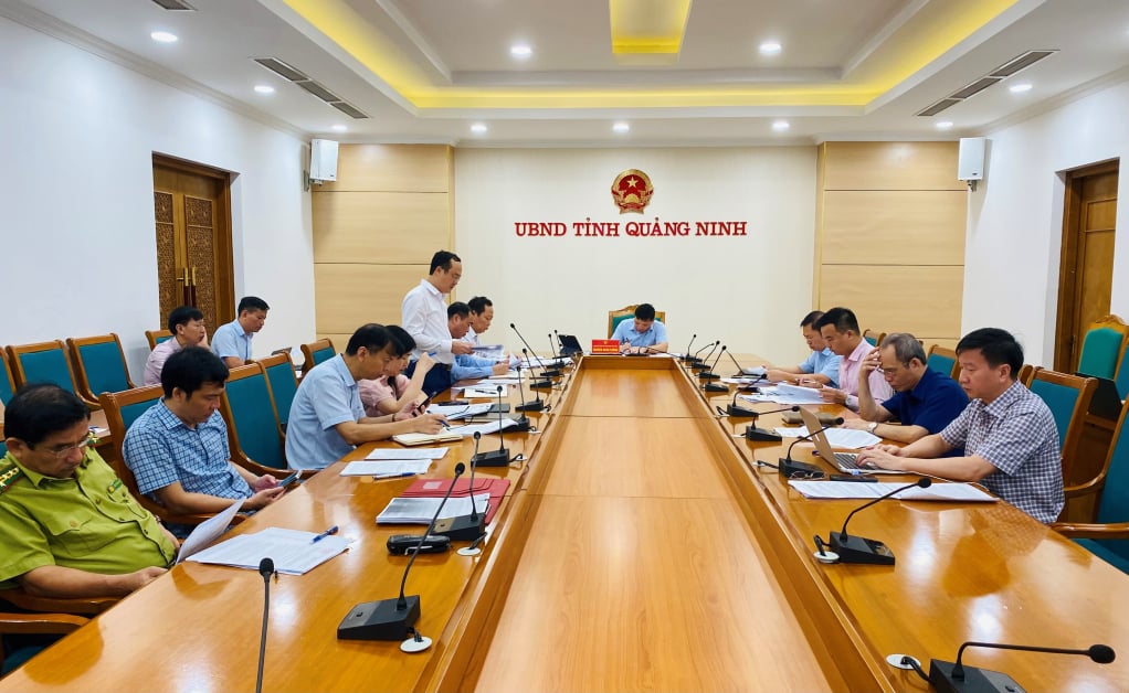 View of the Provincial People's Committee meeting to implement Resolution No. 37 of the Provincial People's Council.